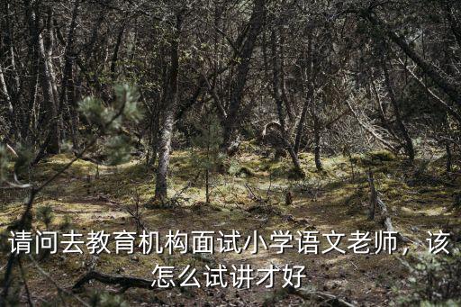 請問去教育機構面試小學語文老師，該怎么試講才好