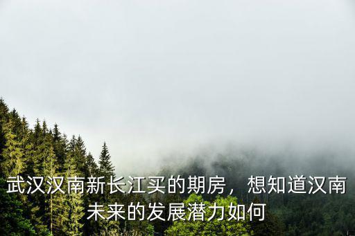 武漢漢南未來發展怎么樣,武漢漢南新長江買的期房