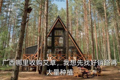 廣西哪里收購(gòu)艾草，我想先找好銷路再大量種植