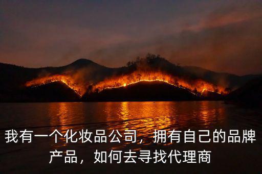 我有一個(gè)化妝品公司，擁有自己的品牌產(chǎn)品，如何去尋找代理商