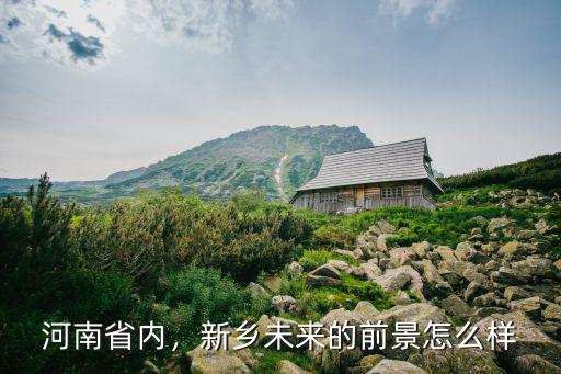河南省內，新鄉未來的前景怎么樣