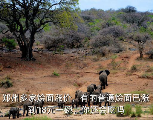 鄭州多家燴面漲價(jià)，有的普通燴面已漲到18元一碗，你還會吃嗎