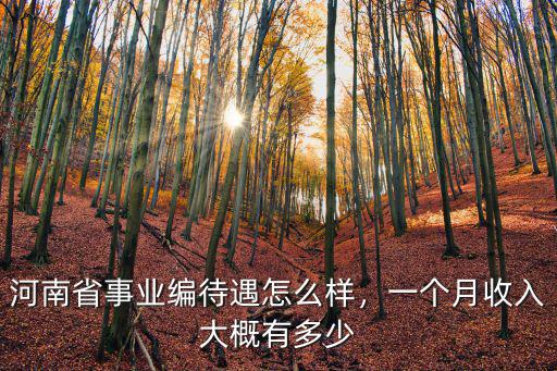 河南省事業編待遇怎么樣，一個月收入大概有多少