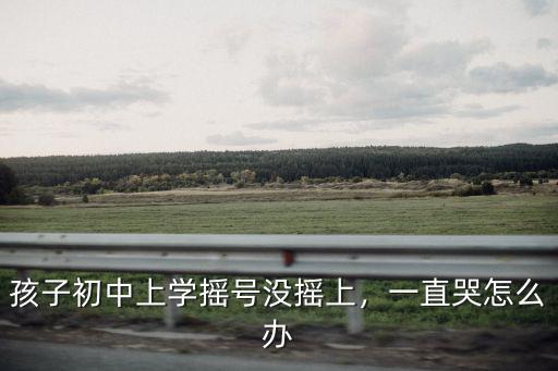 鄭州搖號沒有搖上怎么辦,鄭州民辦沒搖中怎么辦