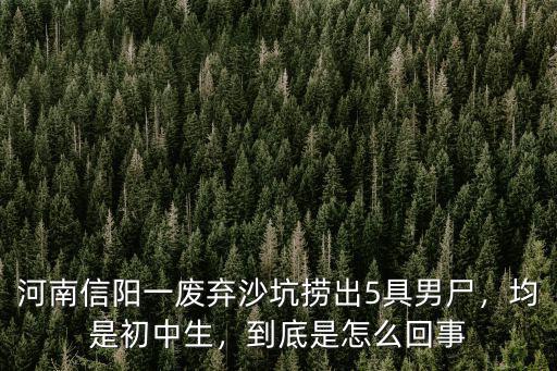 河南信陽一廢棄沙坑撈出5具男尸，均是初中生，到底是怎么回事