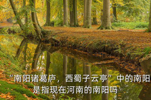 “南陽諸葛廬，西蜀子云亭”中的南陽是指現(xiàn)在河南的南陽嗎
