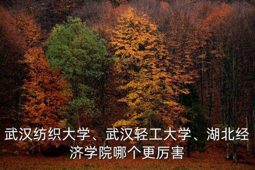 武漢紡織大學(xué)、武漢輕工大學(xué)、湖北經(jīng)濟(jì)學(xué)院哪個(gè)更厲害