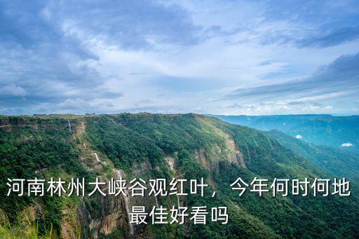 河南林州大峽谷觀紅葉，今年何時何地最佳好看嗎