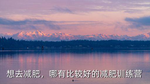 想去減肥，哪有比較好的減肥訓練營