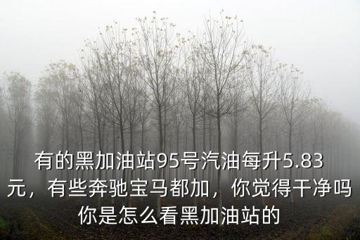 有的黑加油站95號(hào)汽油每升5.83元，有些奔馳寶馬都加，你覺(jué)得干凈嗎你是怎么看黑加油站的