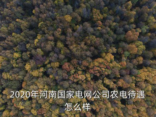 2020年河南國家電網公司農電待遇怎么樣