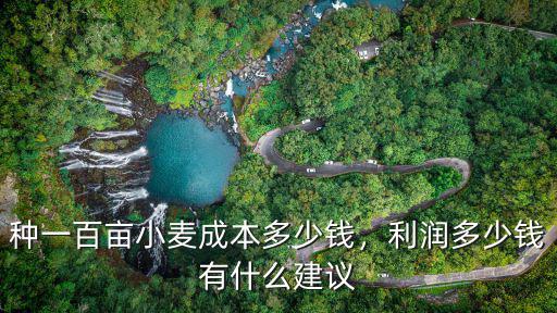 種一百畝小麥成本多少錢，利潤多少錢有什么建議