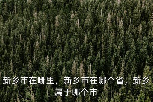 新鄉市在哪里，新鄉市在哪個省，新鄉屬于哪個市