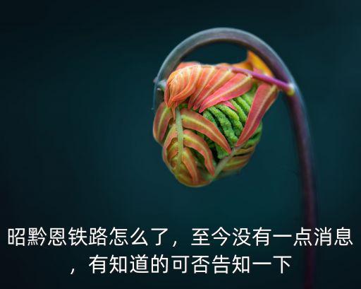 昭黔恩鐵路怎么了，至今沒有一點消息，有知道的可否告知一下