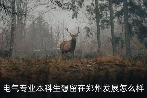 電氣專業(yè)本科生想留在鄭州發(fā)展怎么樣