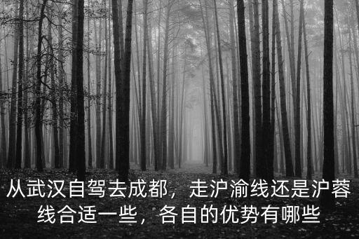 從武漢自駕去成都，走滬渝線還是滬蓉線合適一些，各自的優勢有哪些