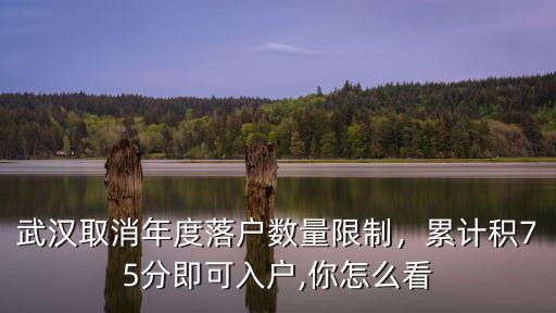 武漢積分落戶是怎么審核積分的,武漢積分落戶政策要積多少分