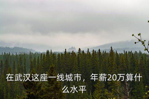 在武漢這座一線城市，年薪20萬算什么水平