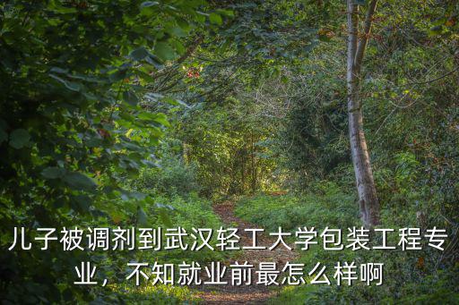 兒子被調(diào)劑到武漢輕工大學(xué)包裝工程專業(yè)，不知就業(yè)前最怎么樣啊
