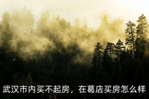 武漢市內買不起房，在葛店買房怎么樣