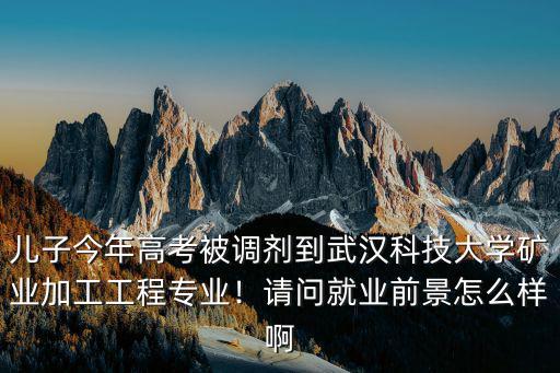 武漢工程大學興發礦業學院怎么樣,武漢工程大學怎么樣