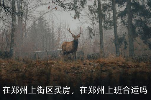 在鄭州上街區買房，在鄭州上班合適嗎