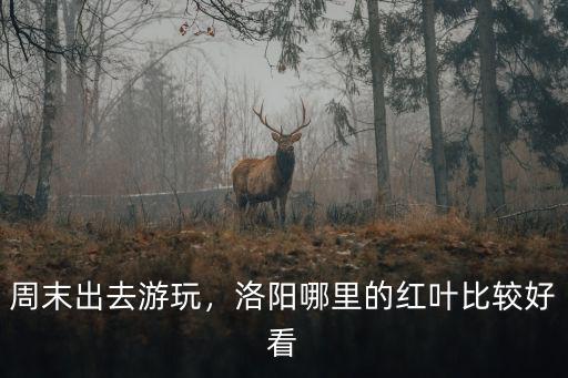周末出去游玩，洛陽(yáng)哪里的紅葉比較好看