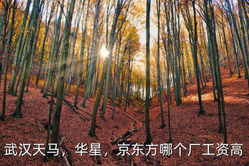 武漢京東方銷售工資待遇怎么樣,武漢京東方的待遇怎么樣