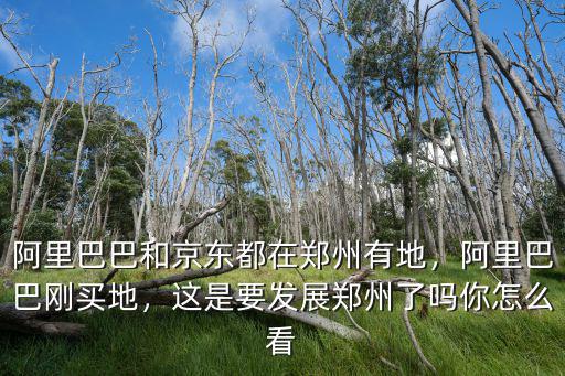 阿里巴巴和京東都在鄭州有地，阿里巴巴剛買地，這是要發(fā)展鄭州了嗎你怎么看