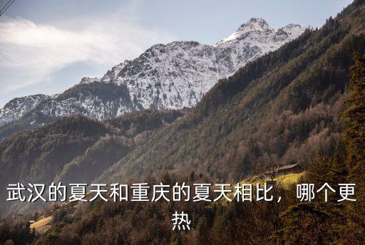 武漢的夏天和重慶的夏天相比，哪個(gè)更熱