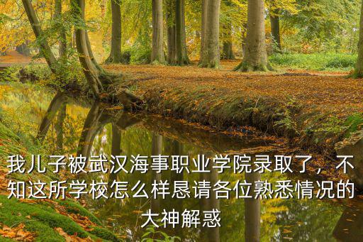 我兒子被武漢海事職業學院錄取了，不知這所學校怎么樣懇請各位熟悉情況的大神解惑