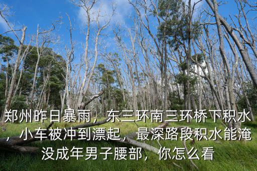 鄭州昨日暴雨，東三環(huán)南三環(huán)橋下積水，小車被沖到漂起，最深路段積水能淹沒成年男子腰部，你怎么看