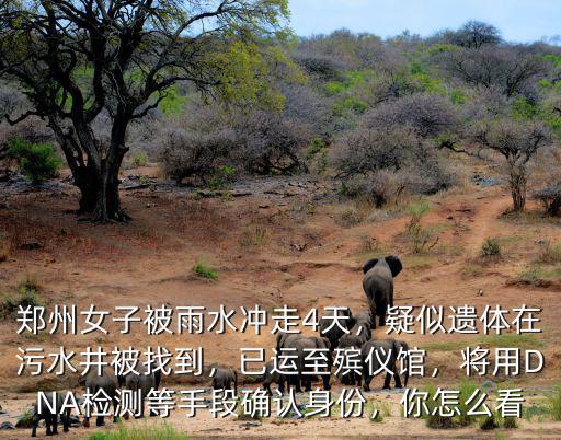 鄭州被沖走小孩怎么樣了,鄭州氣象局長竟然被沖走