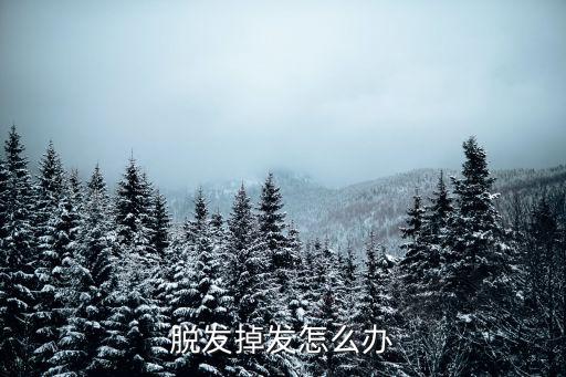 脫發掉發怎么辦