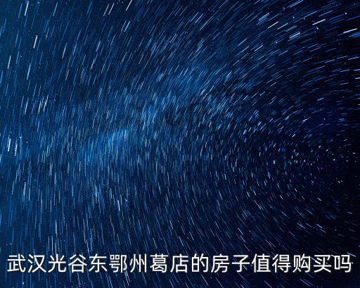 武漢?吃酶?的房子怎么樣,武漢陽邏的房子怎么樣