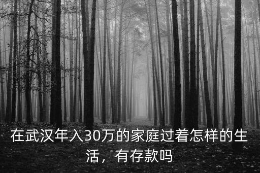 在武漢年入30萬的家庭過著怎樣的生活，有存款嗎
