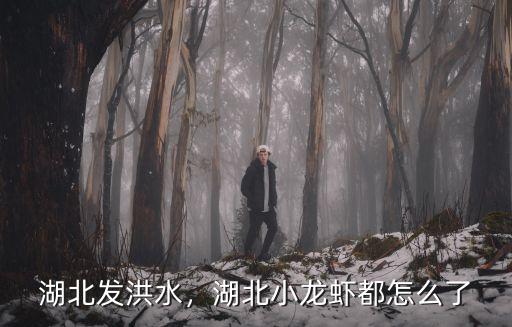 湖北發(fā)洪水，湖北小龍蝦都怎么了