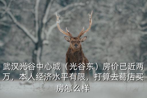 武漢光谷中心城（光谷東）房價已近兩萬，本人經濟水平有限，打算去葛店買房怎么樣