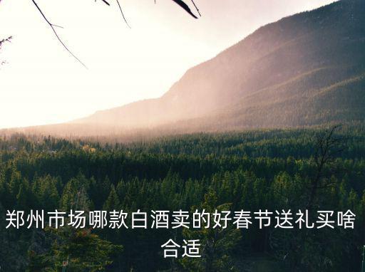鄭州市場哪款白酒賣的好春節送禮買啥合適