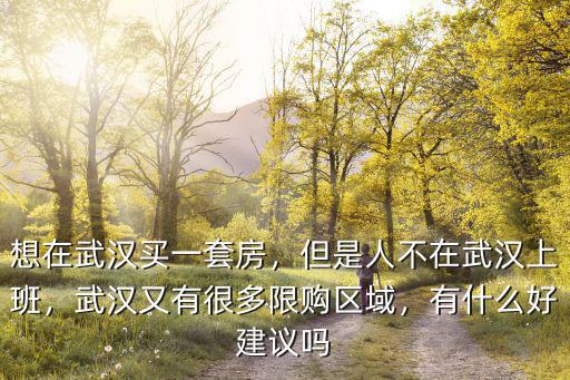 想在武漢買一套房，但是人不在武漢上班，武漢又有很多限購區域，有什么好建議嗎