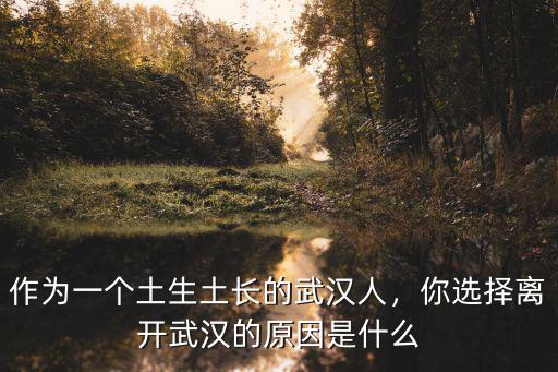 作為一個(gè)土生土長(zhǎng)的武漢人，你選擇離開武漢的原因是什么