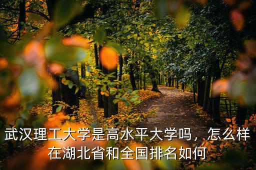 武漢理工大學(xué)馬保國(guó)教授怎么樣,武漢理工大學(xué)口碑怎么樣