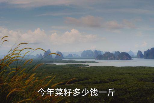 今年菜籽多少錢一斤