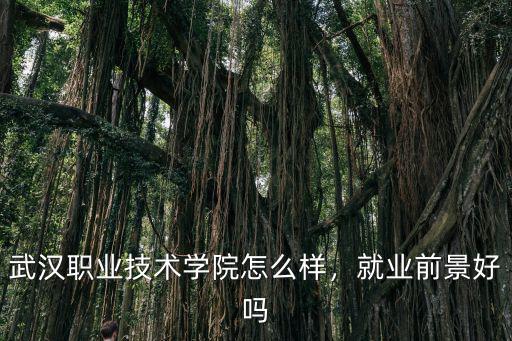 武漢職業(yè)技術(shù)學(xué)院怎么樣，就業(yè)前景好嗎