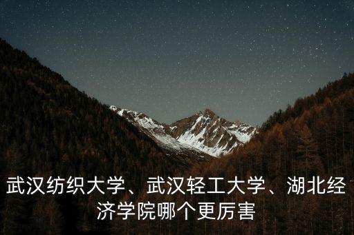 武漢紡織大學、武漢輕工大學、湖北經濟學院哪個更厲害