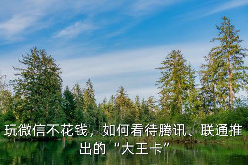 玩微信不花錢，如何看待騰訊、聯通推出的“大王卡”