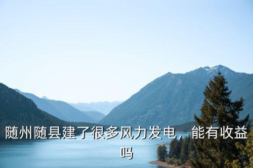 隨州隨縣建了很多風(fēng)力發(fā)電，能有收益嗎