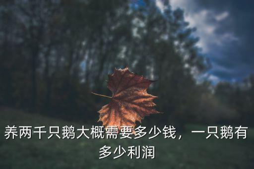 養兩千只鵝大概需要多少錢，一只鵝有多少利潤