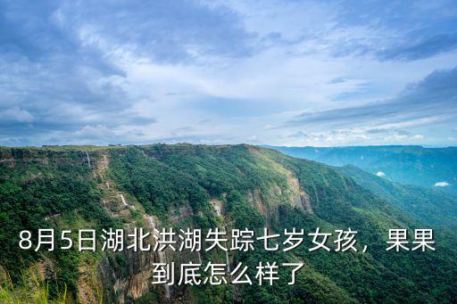 湖北31歲女孩張琪現在怎么樣了,湖北女孩36歲未婚單身