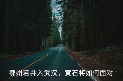 如果漢川并入武漢后武漢會(huì)怎么樣,鄂州若并入武漢